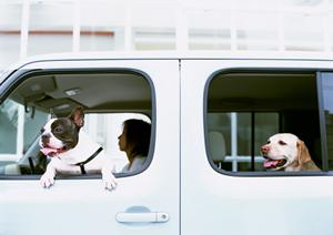 海外有名ブランド車カバーの正規代理店